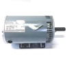 56T34O5500D